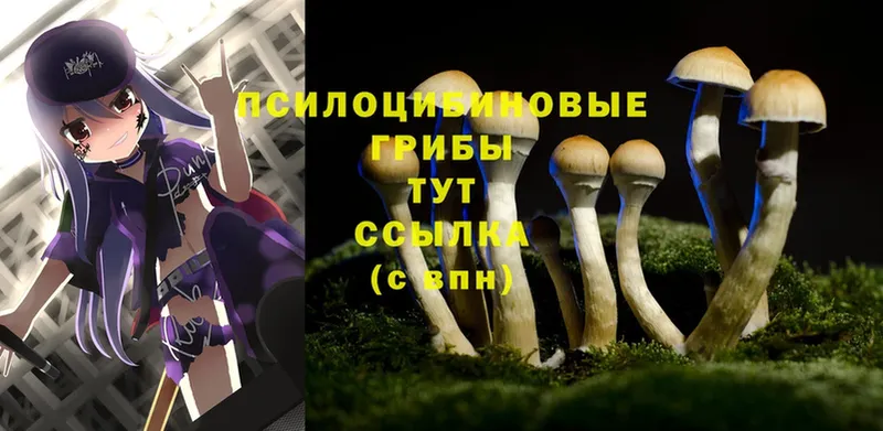 Псилоцибиновые грибы MAGIC MUSHROOMS  Новоуральск 